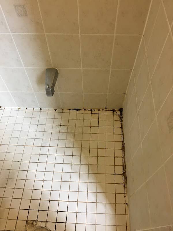 Concrete grainding and polishing ,Tile, Grout, Floor Cleaning And Restoration photo 3